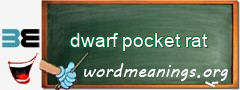 WordMeaning blackboard for dwarf pocket rat